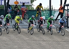 921H6524 bmx-tc-11-9-21